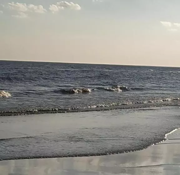 Techos Amarillos Apart