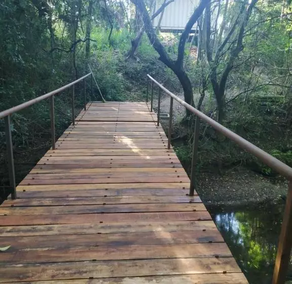 Techos Amarillos Apart