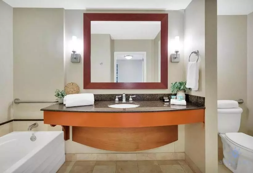 هاستل Bay View Studio: Luxury Retreat In Sunny Isles