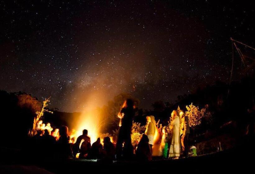 هاستل Villa Druida