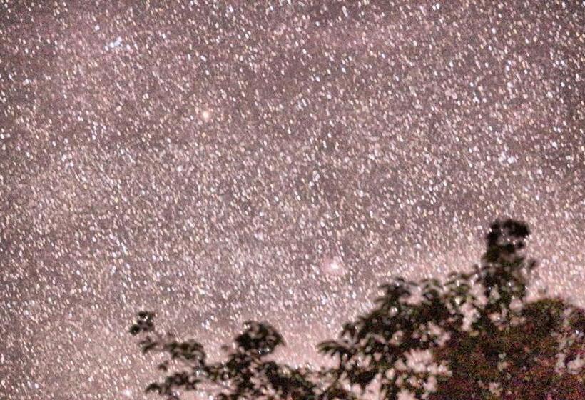 هاستل Villa Druida