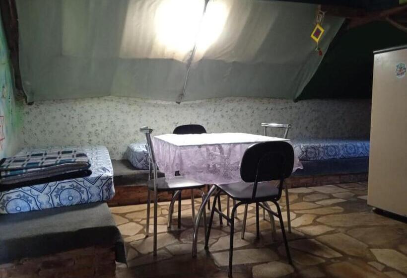 هاستل Villa Druida