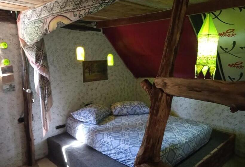 هاستل Villa Druida