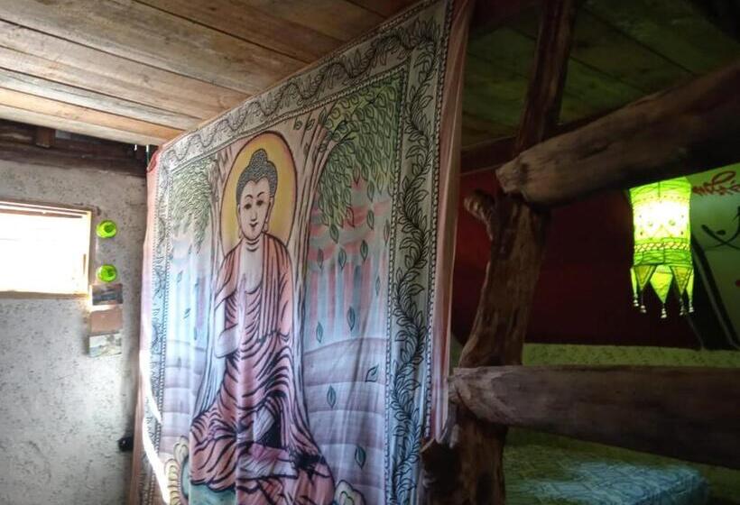 هاستل Villa Druida