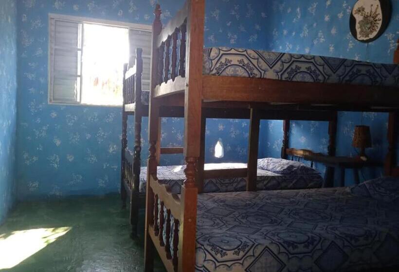 هاستل Villa Druida