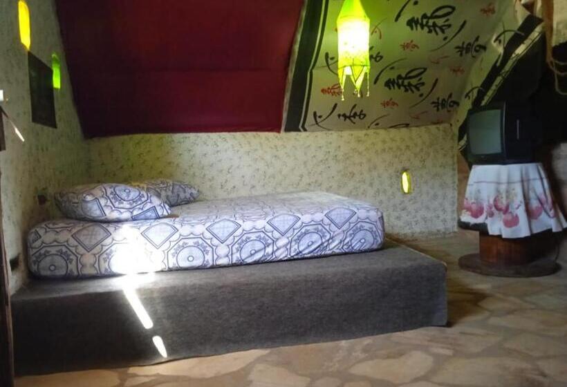 هاستل Villa Druida