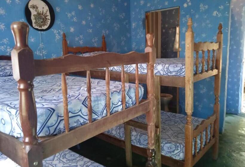 هاستل Villa Druida