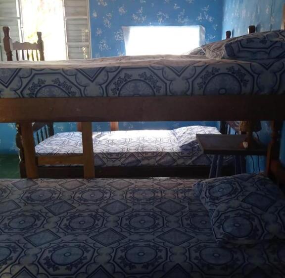 هاستل Villa Druida