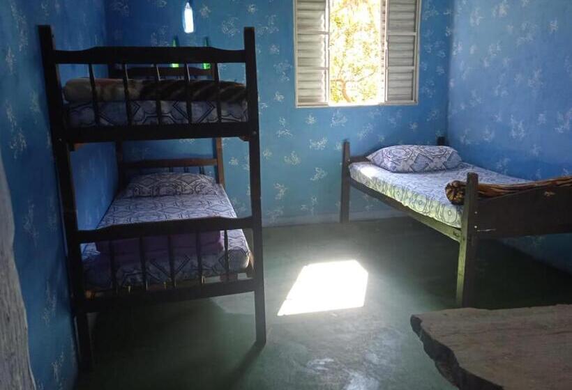 هاستل Villa Druida