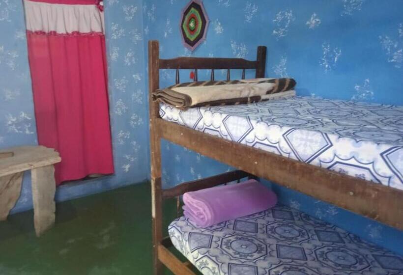 هاستل Villa Druida