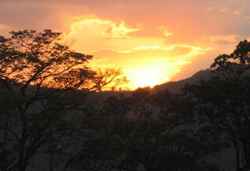 هاستل Villa Druida