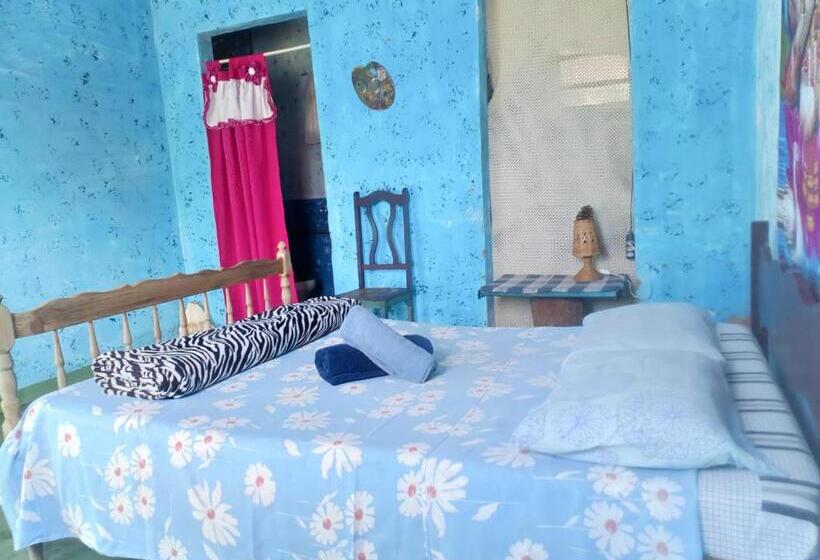 هاستل Villa Druida