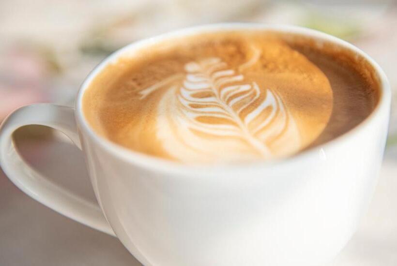 צימר Bed & Café Petit Papillon