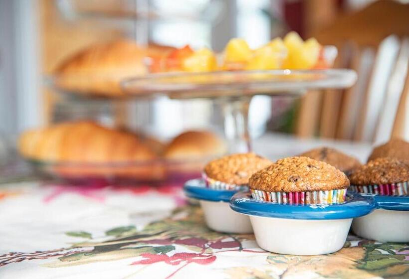 צימר Bed & Café Petit Papillon