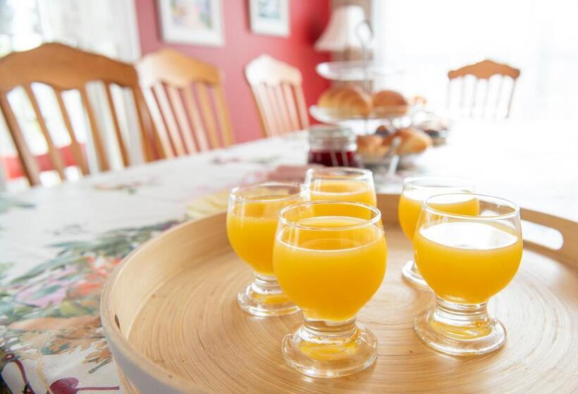 צימר Bed & Café Petit Papillon