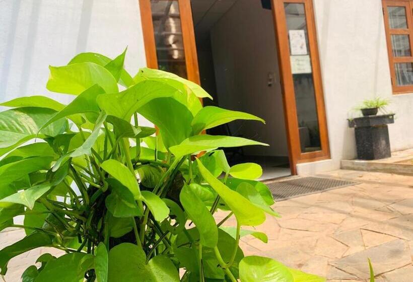 Bed and Breakfast Hamilton Tourist Rest