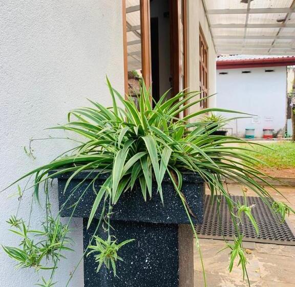 مبيت وإفطار Hamilton Tourist Rest