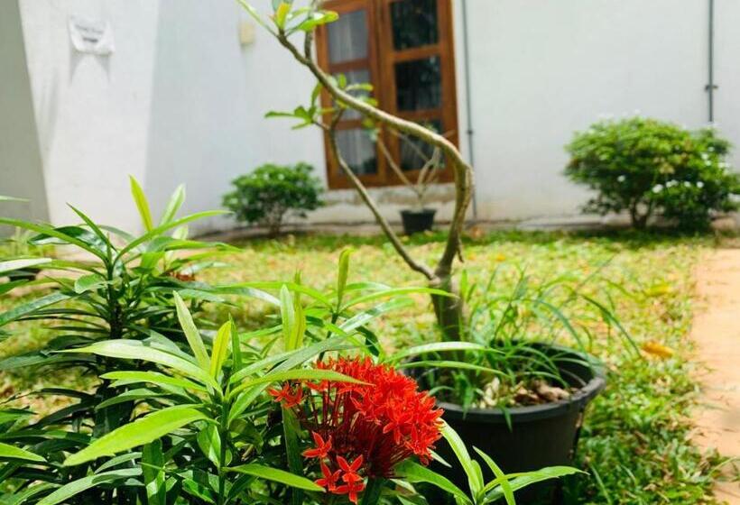 مبيت وإفطار Hamilton Tourist Rest