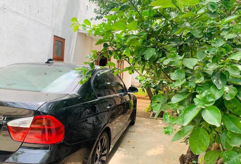 مبيت وإفطار Hamilton Tourist Rest