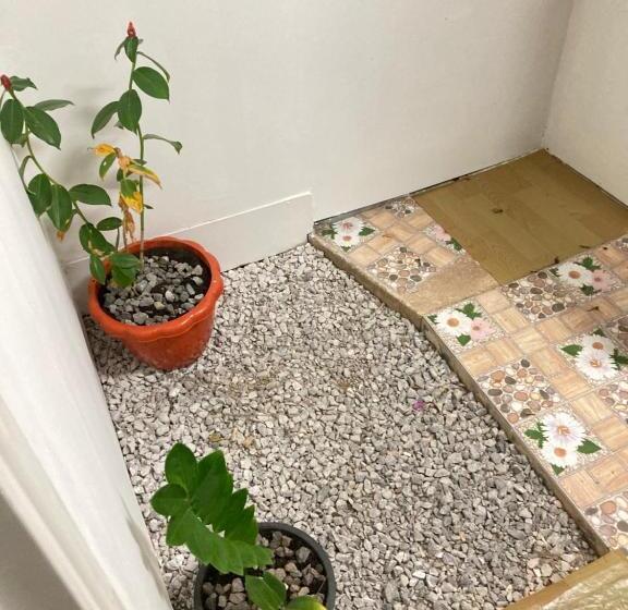 Bed and Breakfast เดอะมินิมอล นอร์ดิกเฮ้าส์the Minimal Nordic House By The Mountain Ozoneบ้านโอโซนขุนเขาแก่งกระจาน