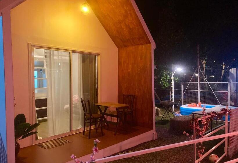 Bed and Breakfast เดอะมินิมอล นอร์ดิกเฮ้าส์the Minimal Nordic House By The Mountain Ozoneบ้านโอโซนขุนเขาแก่งกระจาน