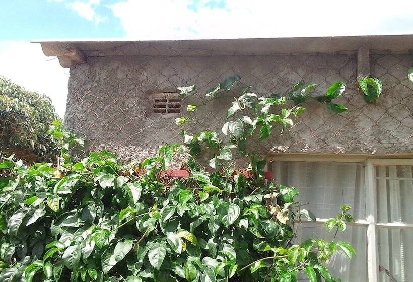 تختخواب و صبحانه Garden Guest House Bed & Bre Chitungwiza