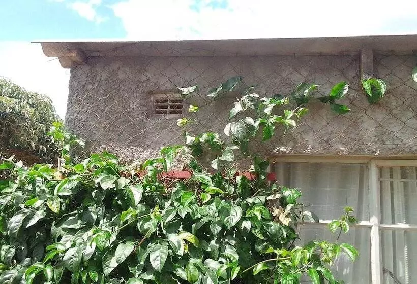 تختخواب و صبحانه Garden Guest House Bed & Bre Chitungwiza