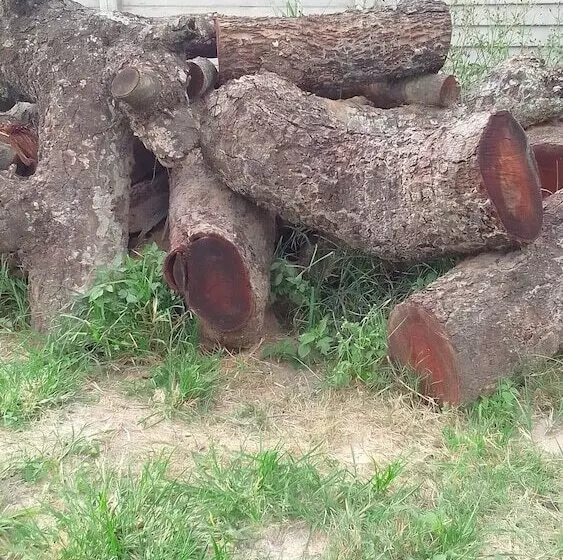 تختخواب و صبحانه Garden Guest House Bed & Bre Chitungwiza