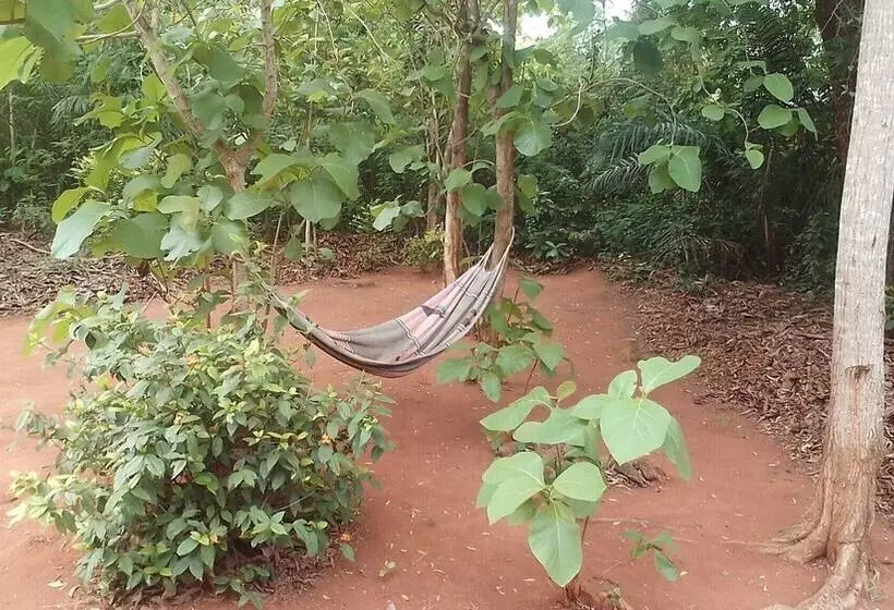 هتل Centre Ayifa Hôtel