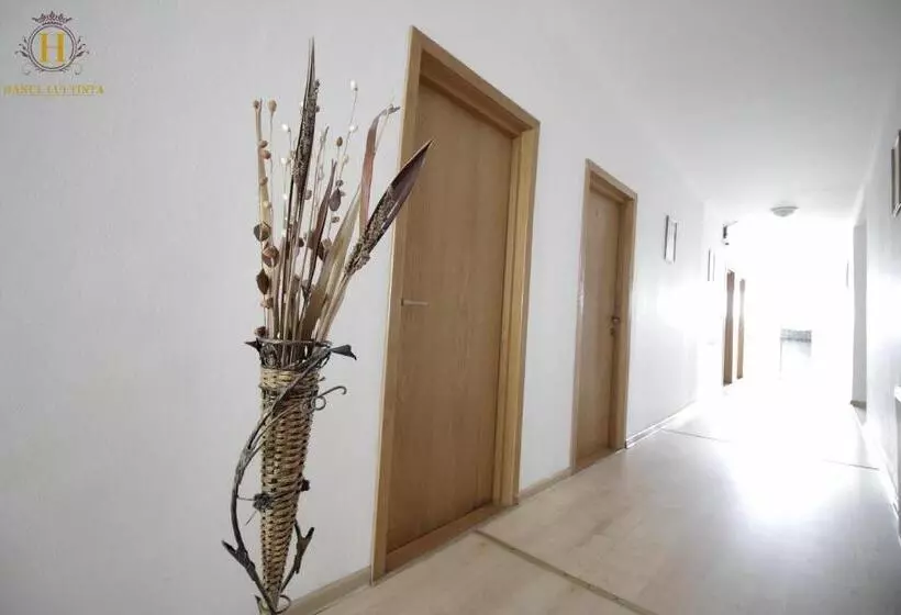 هتل Hanul Lui țintă
