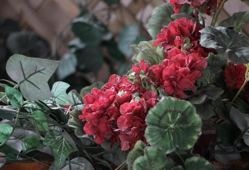 هتل Hanul Lui țintă