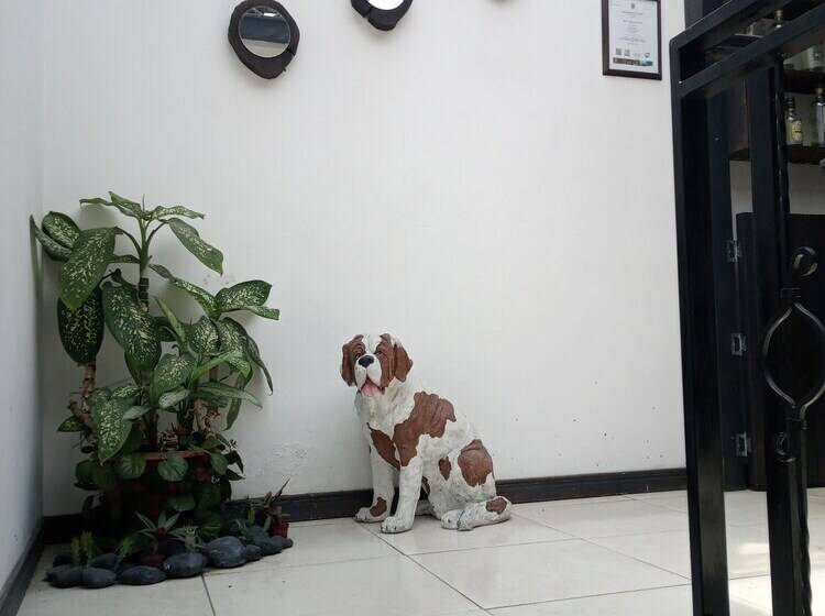 Szálloda Río De Oro