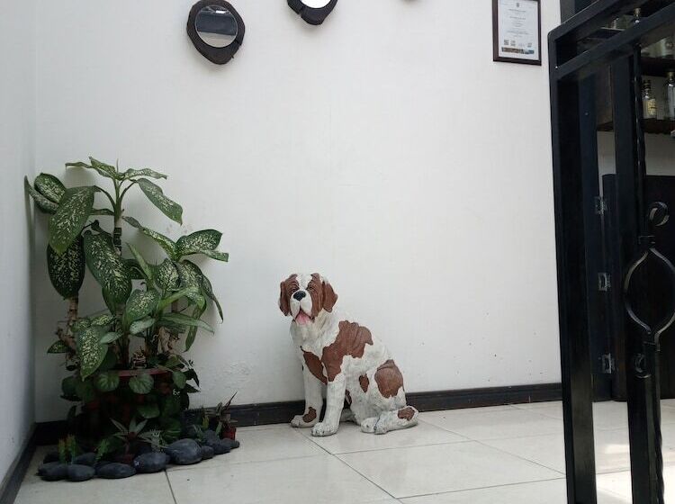 Szálloda Río De Oro