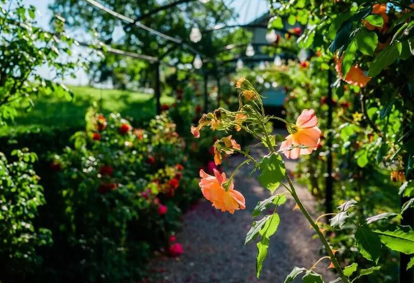 ホテル Schloss Freudenfels