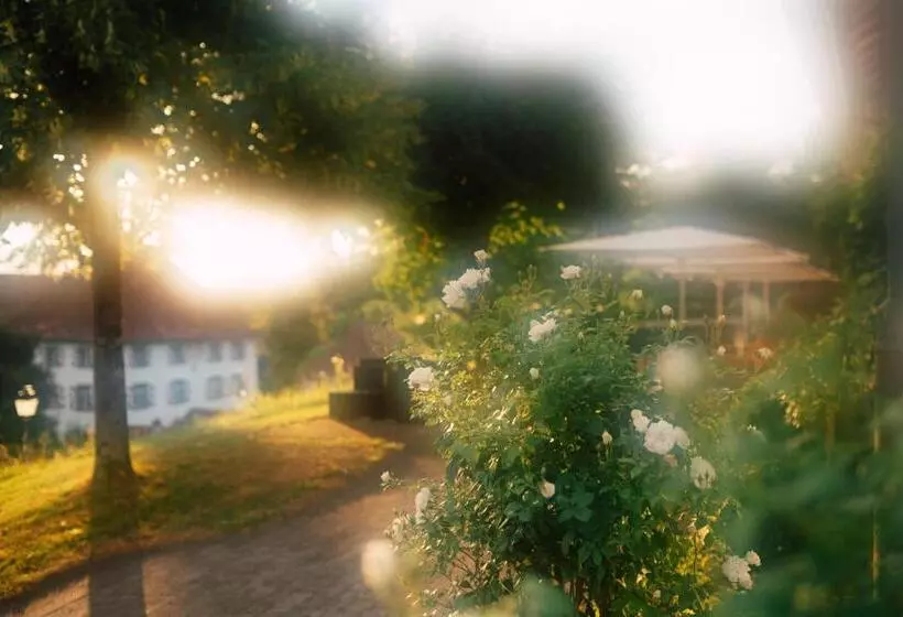 ホテル Schloss Freudenfels