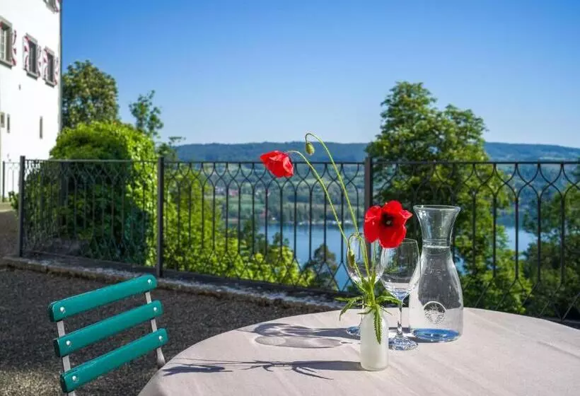 ホテル Schloss Freudenfels