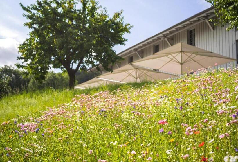 בית מלון כפרי Schloss Freudenfels