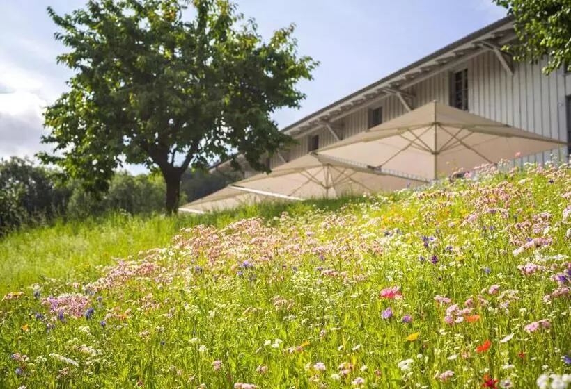 ホテル Schloss Freudenfels