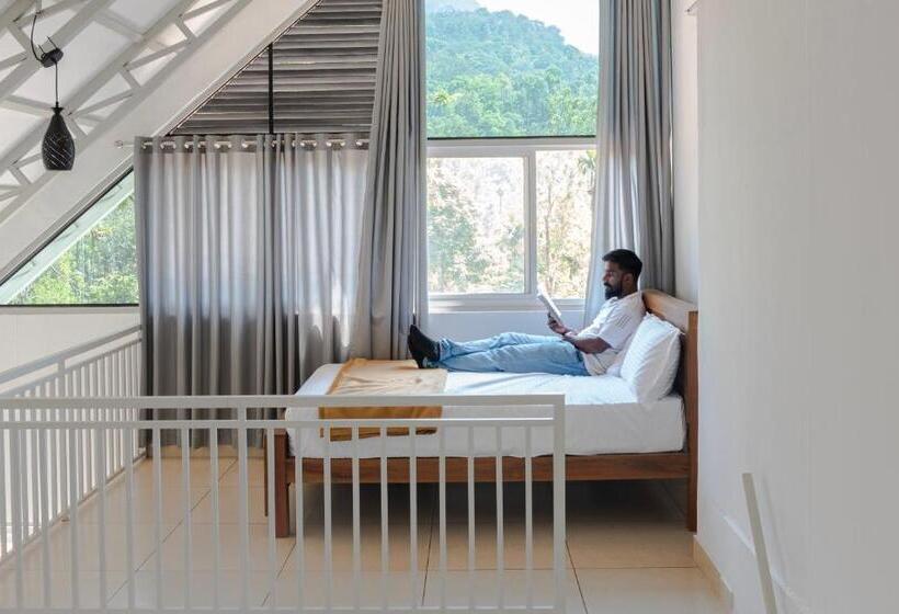 פנסיון Wild Brooke Hut