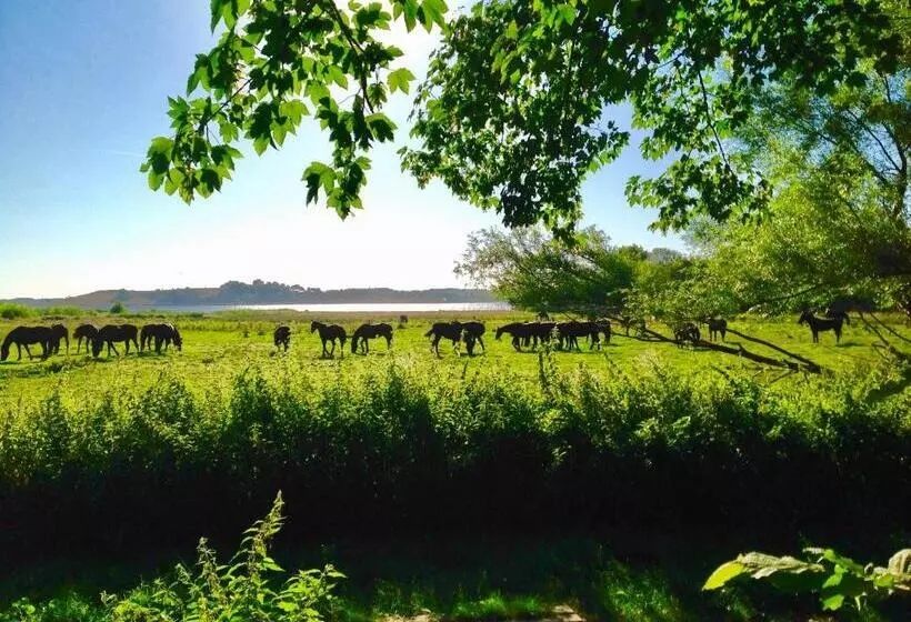 Aamiaismajoitus (B&B) Sebber Kloster
