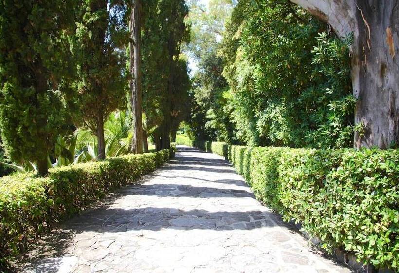 Bed and Breakfast Villa Domus 1938