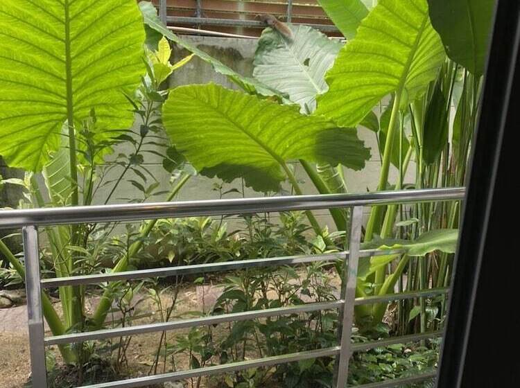 Dd Residence Sai5 Salaya