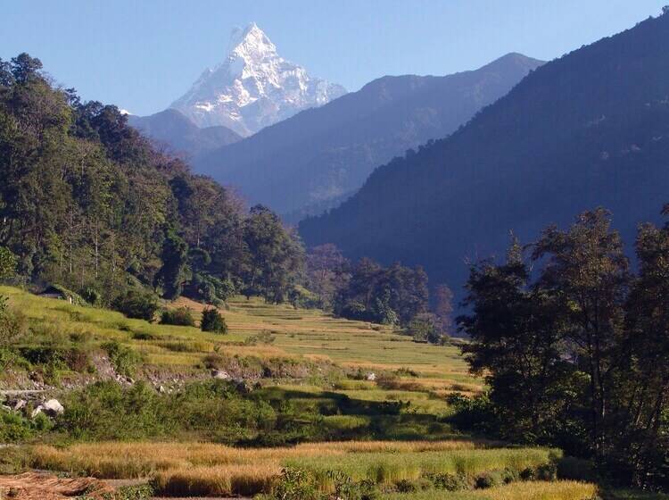هتل Mountain Lodges Of Nepal Birethanti