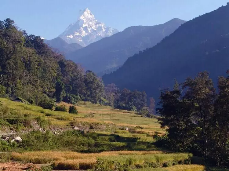 هتل Mountain Lodges Of Nepal   Birethanti