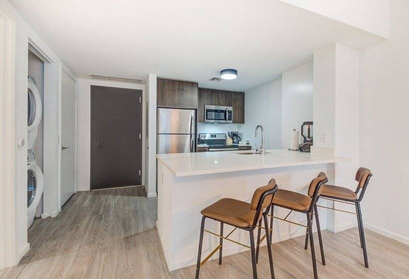 فندق Sentral Alea Miami