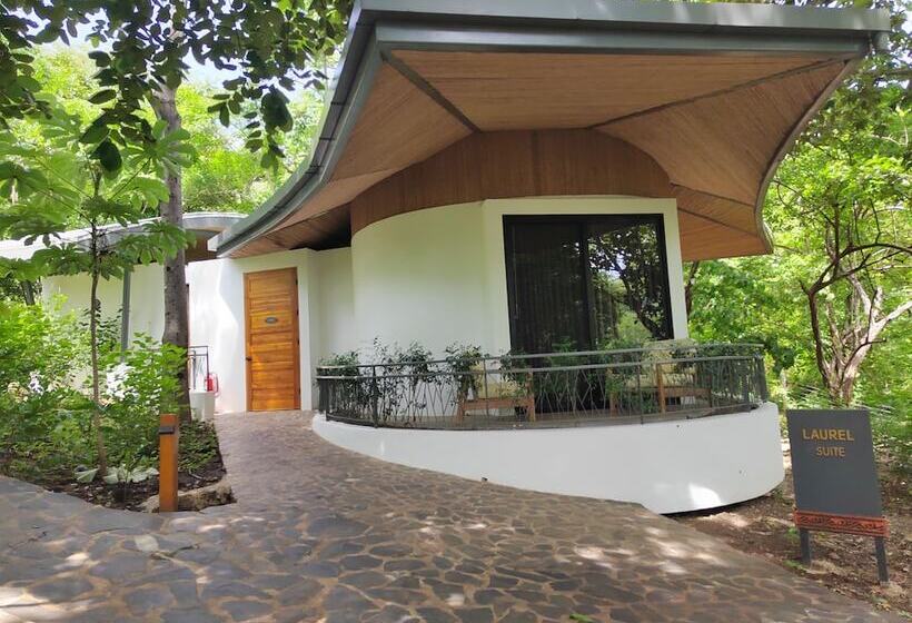 هتل Suitree Experience