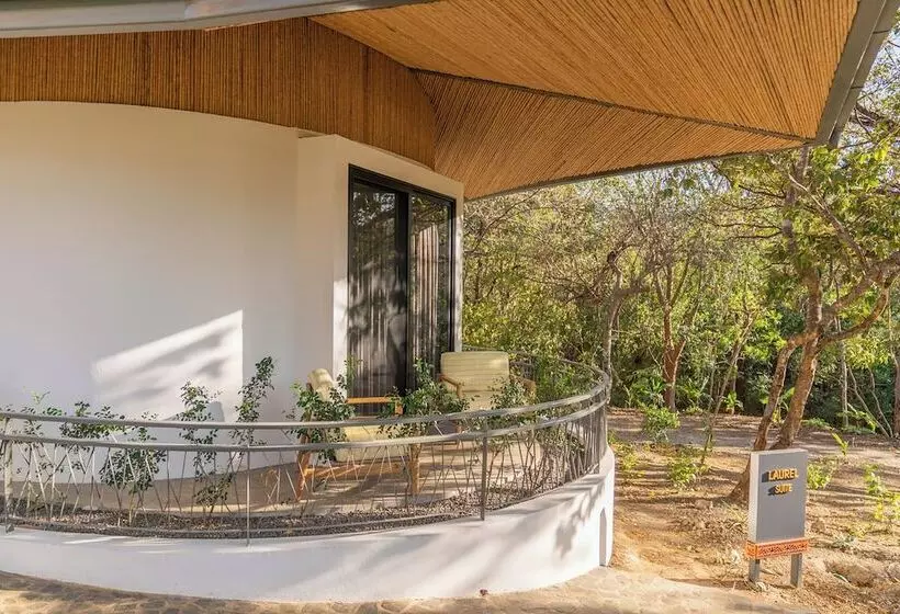 Hotelli Suitree Experience