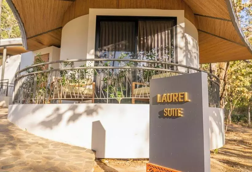 Hotelli Suitree Experience