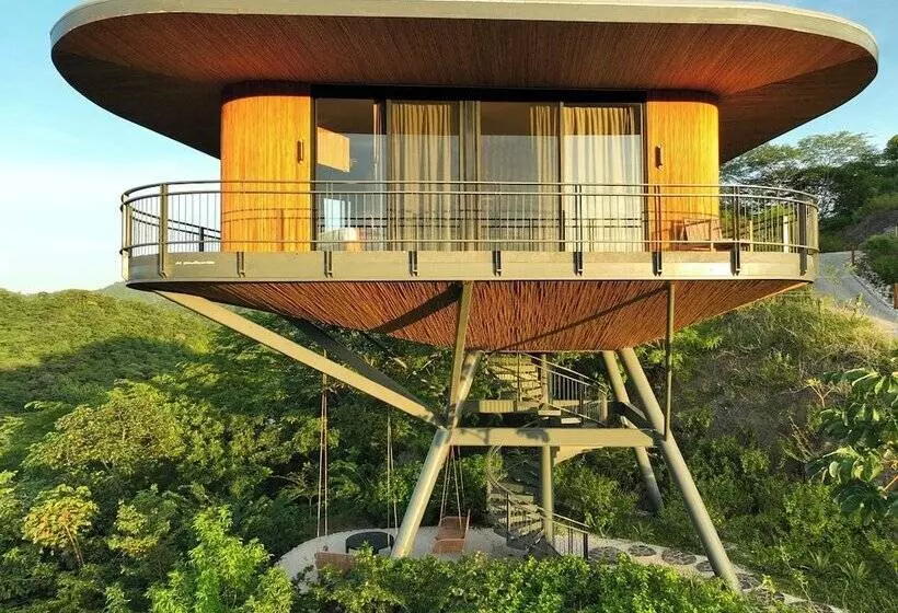 Hotelli Suitree Experience