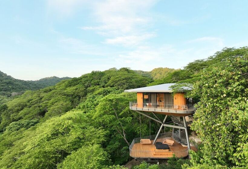 هتل Suitree Experience